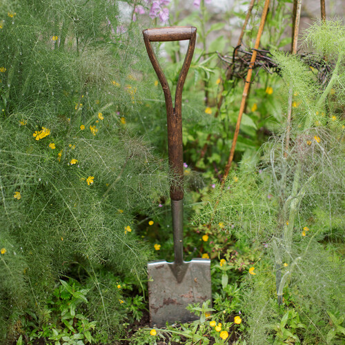 Springkell Gardens 12