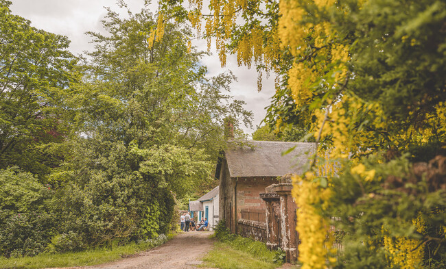 Cottage Accommodation